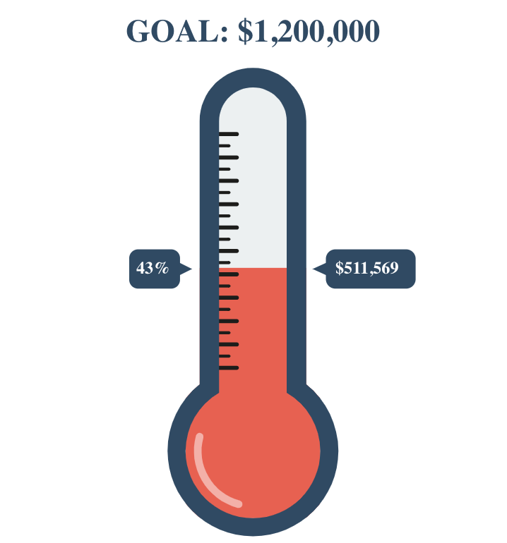 magical bridge goal magical bridge goal